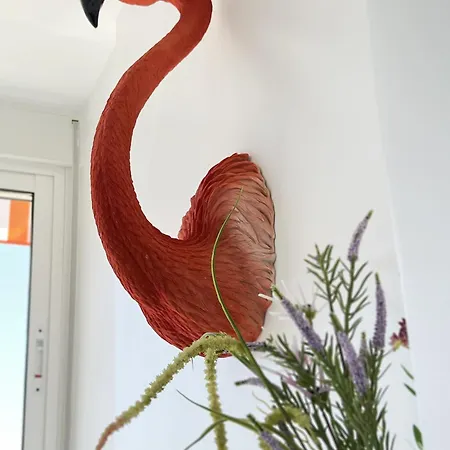 Flamingo